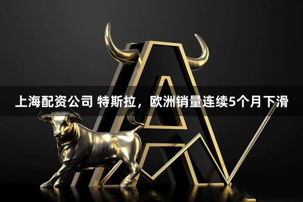 上海配资公司 特斯拉，欧洲销量连续5个月下滑