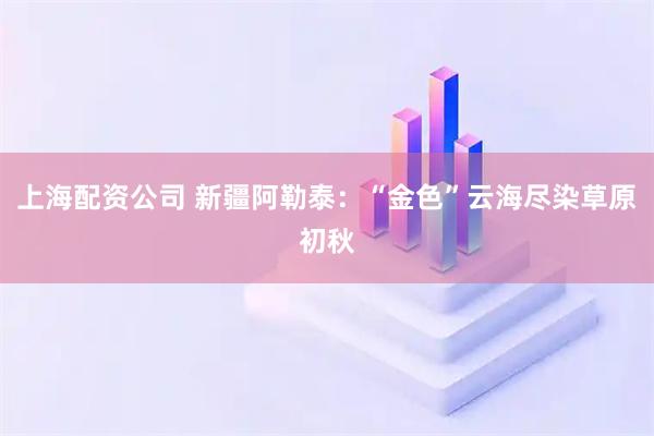 上海配资公司 新疆阿勒泰:“金色”云海尽染草原初秋